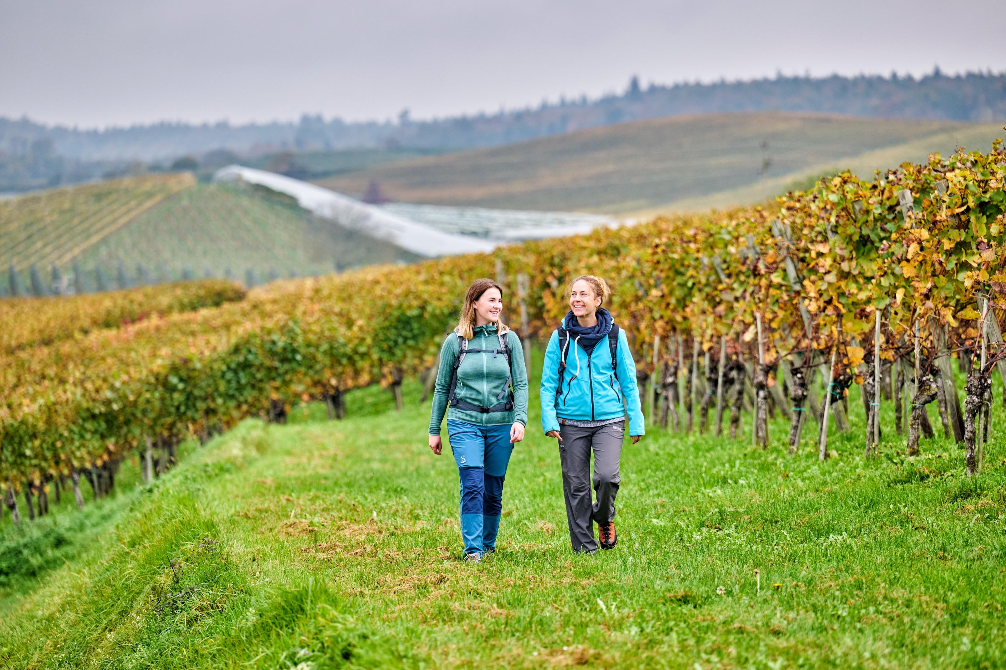 Wandern mit Panoramablick