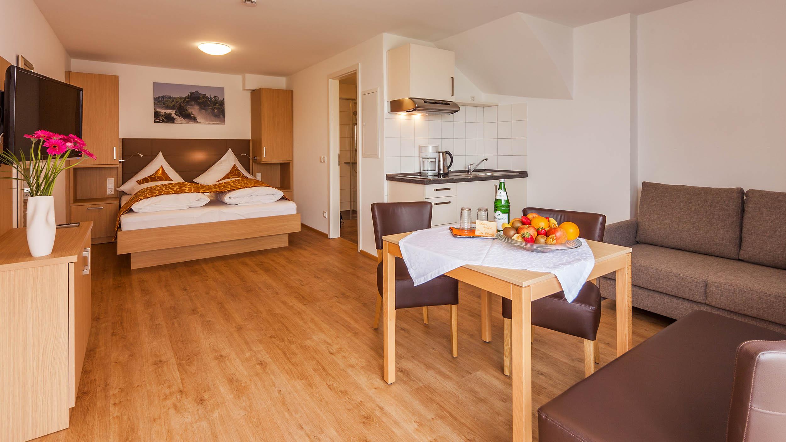 Apartment Schaffhausen - Terrasse