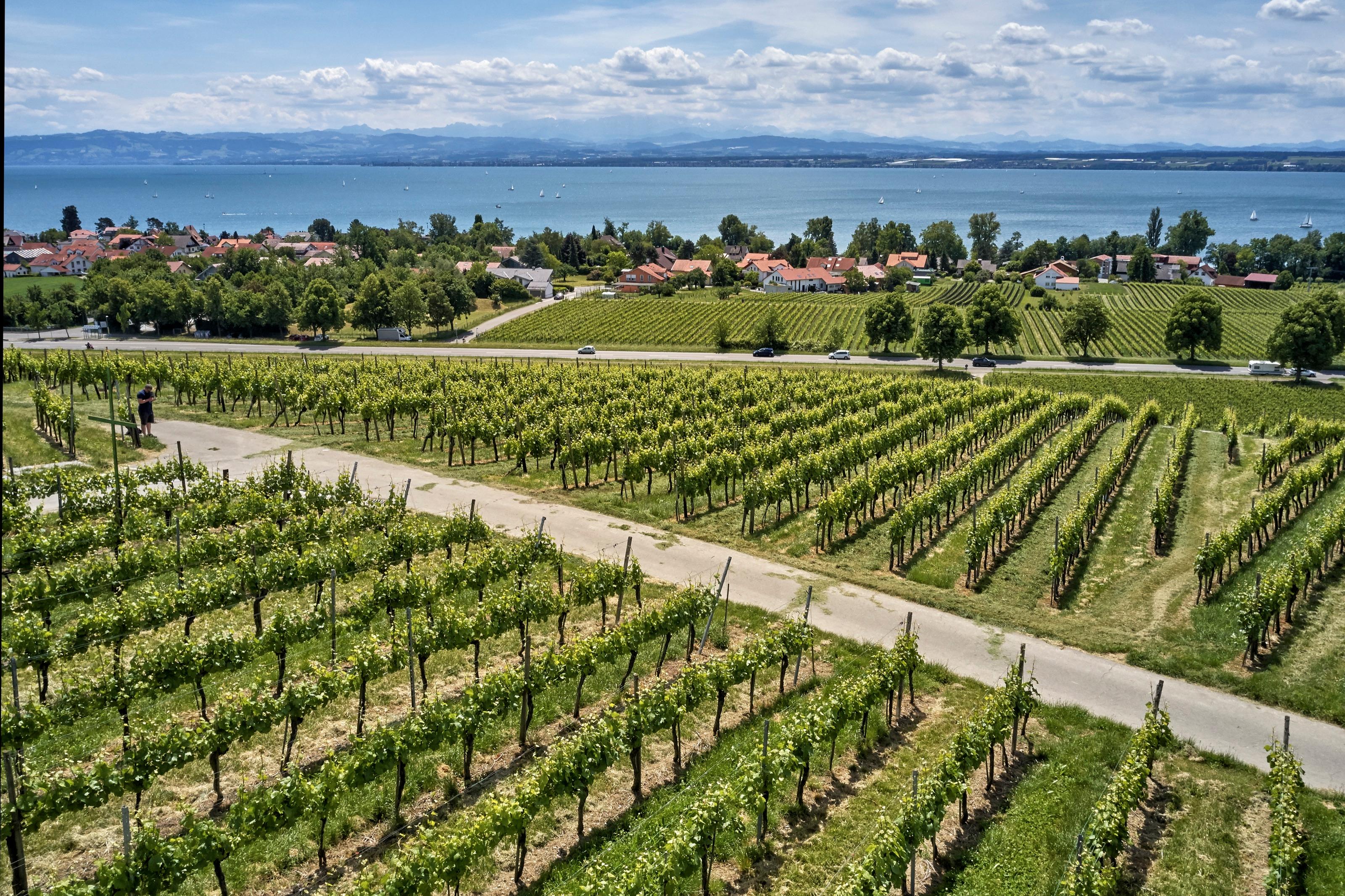 Bodensee Trekking Tours